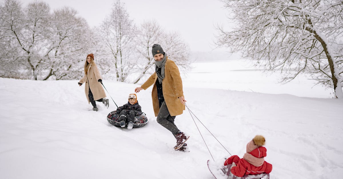 découvrez des activités hivernales passionnantes pour profiter pleinement de la saison froide, du ski à la randonnée en raquettes, en passant par la luge et les balades en forêt enneigée.